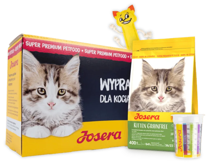 Wyprawka dla kota